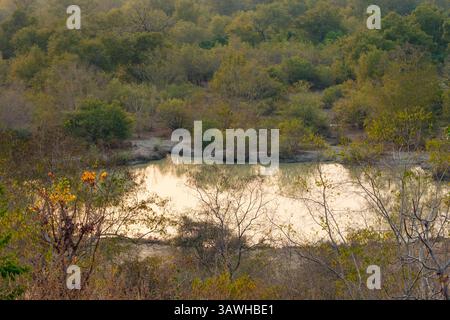 Ghana, Mole National Park. Blick auf Water Hole von der Zaina Lodge Guest House Terrace. Stockfoto