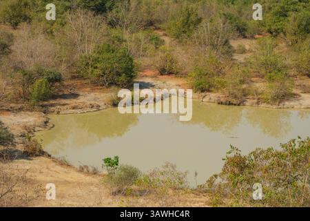 Ghana, Mole National Park. Blick auf das Wasserloch am Nachmittag von der Zaina Lodge Guest House Terrace. Stockfoto