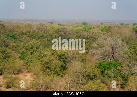 Ghana, Mole National Park. Blick auf die Waldsavanna-Vegetation von der Zaina Lodge Terrace. Stockfoto