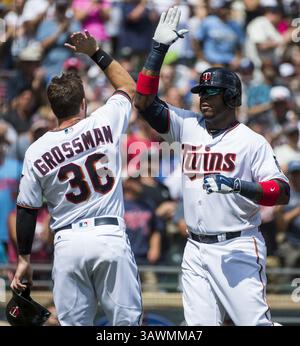 31. Juli 2016 - Minneapolis, MN, USA - Minnesota Twins ernannte Kennys Vargas (19) High-Fives-Spieler Robbie Grossman (36) als er die Platte überquerte, nachdem Vargas am Sonntag, 31. Juli 2016 in Minneapolis, Minn. einen homer mit zwei Läufen im ersten Inning gegen die Chicago White Sox traf (Kreditbild: © Isaac Hale/TNS via ZUMA Wire) Stockfoto
