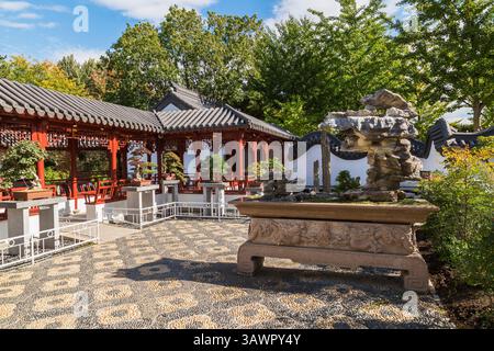 Bonsai-Baum-Ausstellung im Innenhof des Friendship Hall-Pavillons im Chinesischen Garten im Herbst, Montreal Botanical Garden, Quebec, Kanada. Stockfoto