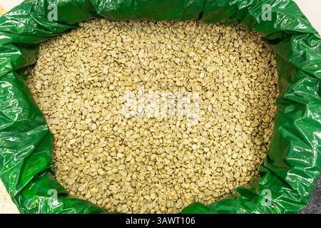 Eine Nahaufnahme von oben zeigt eine große Menge roher, grüner Kaffeebohnen, die einen dunkelgrünen Beutel füllen. Die Bohnen haben eine ungleichmäßige Struktur Stockfoto