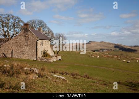 Hadrians Wall von der Cockmount Hill Farm im Northumerland National Park, Großbritannien Stockfoto