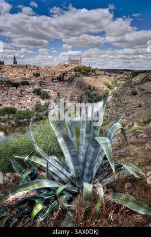 Agave-Pflanze im Vordergrund mit Blick auf den Fluss Tejo mit Toledo, Spanien auf der gegenüberliegenden Küste. Stockfoto