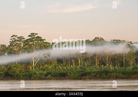 8. März 2016 - Peru - Amazonas-Regenwald: Expedition mit dem Boot entlang des Amazonas bei Iquitos, Loreto, Peru. Auf einem der Zuflüsse des Amazonas nach Iquitos, etwa 40 km in der Nähe der Stadt Indiana. Morgennebel. (Bild: © Sergi Reboredo/ZUMA Wire/ZUMAPRESS.com) Stockfoto