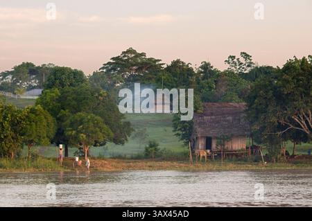 8. März 2016 - Peru - Amazonas-Regenwald: Expedition mit dem Boot entlang des Amazonas bei Iquitos, Loreto, Peru. Auf einem der Zuflüsse des Amazonas nach Iquitos, etwa 40 km in der Nähe der Stadt Indiana. Kleine Hütten am Rande eines der Wohlstände des Amazonasflusses (Credit Image: © Sergi Reboredo/ZUMA Wire/ZUMAPRESS.com) Stockfoto