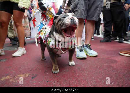 Dieser Typ sieht aus, als würde er die Parade genießen, als er während der jährlichen Osterparade und des Bonnet Festivals am 20. April 2025 in New York die Fifth Avenue aufsteigt. (Foto: Gordon Donovan) Stockfoto