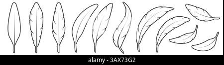Ein Satz von Vogelfedern in verschiedenen Formen, gerade, gebogen und fliegt. Illustration des flachen Vektors auf weißem Hintergrund isoliert. Stock Vektor