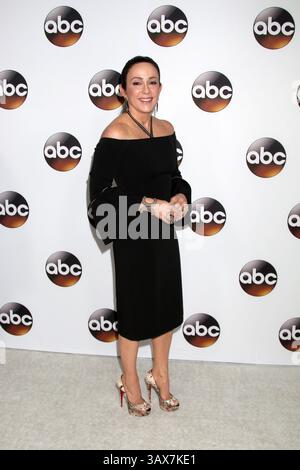 10. Januar 2017 - Pasadena, CA, USA - LOS ANGELES - 10. JAN: Patricia Heaton bei der Disney/ABC TV TCA Winter 2017 Party im Langham Hotel am 10. Januar 2017 in Pasadena, CA (Kreditbild: © Kathy Hutchins/Newscom via ZUMA Press) Stockfoto