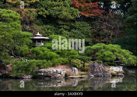 Eine „Ishidoro“ (Steinlaterne) befindet sich zwischen Kiefern im japanischen Garten von Oikeniwa im Gosho Kaiserpalast in Kyoto, Japan. Stockfoto