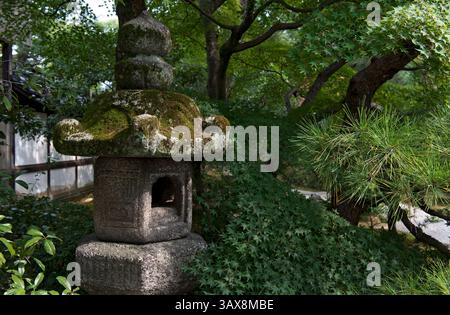 Eine moosbedeckte Steinlaterne im Kasuga-Stil (Ishidoro) befindet sich zwischen grünem Laub im Oikeniwa-Garten im Gosho Kaiserpalast in Kyoto, Japan. Stockfoto