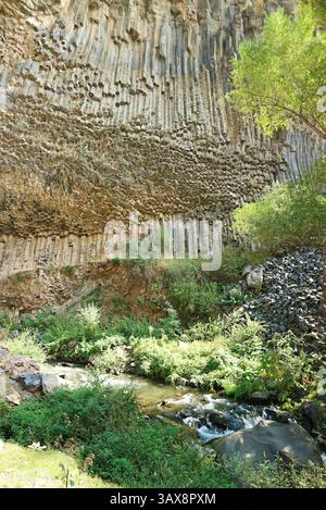 Die Symphonie der Steine, erstaunliche Basaltsäulenformationen entlang der Garni-Schlucht von Armenien Stockfoto