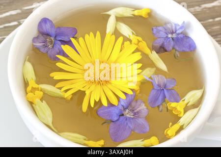 Hustentee mit Henkelfußblüten, Veilchen und Kuhrutschblüten in einer weißen Tasse Hustentee mit Henkelfußblüten, Veilchen und Kuhrutschblüten in einer weißen Tasse Stockfoto