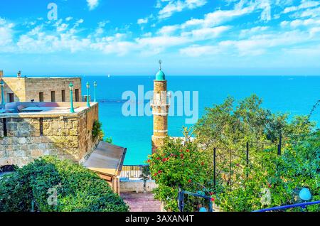 Die üppig grünen Gärten, Steinhäuser, das hohe Minarett der Al-Bahr Sea Moschee in Jaffa Against the Sea, Tel Aviv, Israel Stockfoto
