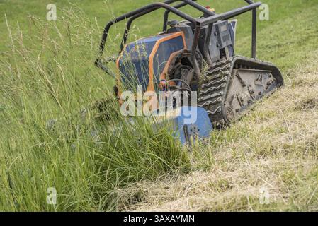 Roboter mit Frontmäher schneidet Gras in Böschung - Nahaufnahme Stockfoto