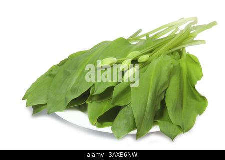 Frischer wilder Knoblauch mit Blumen auf einem Teller vor weißem Hintergrund Stockfoto