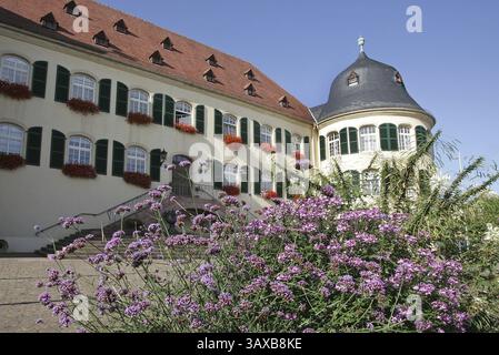Schloss in Bad Bergzabern Stockfoto