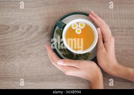 Kamillentee und weibliche Hände, die sich aus dem Becher erwärmen, Nahaufnahme. Stockfoto