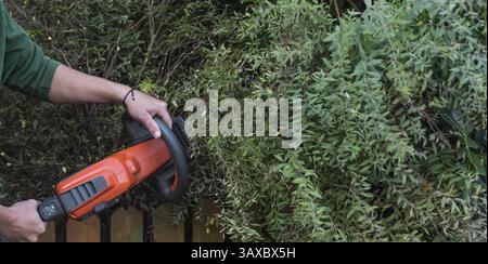 Gartenpflege und Heckenbeschnitt mit elektrischen Heckenscheren - Nahaufnahme Stockfoto