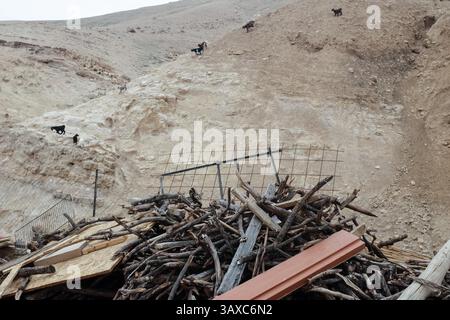 22. Februar 2017 - Israel - Sahari, eine kürzlich gegründete gemeinnützige Organisation, die unter der Palästinensischen Autonomiebehörde registriert ist, bietet Beduinen-Gastfreundschaft. Ziel ist es, Wüstentourismusdienstleistungen und direkte Einnahmen zur Verbesserung der Lebensbedingungen der Jahalingemeinde anzubieten. Rund 6.000 Beduinen der West Bank Jahalin sehen sich einer unsicheren Zukunft gegenüber, da sie von Land aus vertrieben werden, das sie zwischen Ost-Jerusalem und dem Jordantal umsiedeln und nördlich von Jericho umsiedeln. (Bild: © Nir Alon via ZUMA Wire) Stockfoto