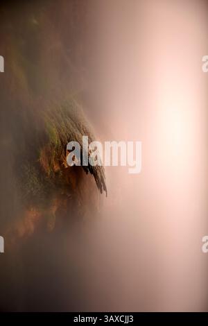 Langzeitaufnahme des Wasserfalls im Kloster Piedra, Saragossa, Spanien Stockfoto