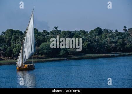 Traditionelles Felukensegelboot auf dem Nil Stockfoto