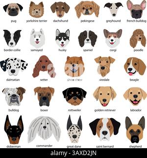 Verschiedene Hundeköpfe Sammlung verschiedener Rassen auf weißem Hintergrund Original-Kunstwerk Stock Vektor