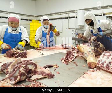 Astana, Kasachstan - 24. Juni 2021 - Schneidebetrieb für Fleisch- und Schweinekadaver. Fleischabteilung. Fleischverarbeitungsfabrik. Stockfoto