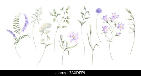 Wildblumen Glockenblumen, Mäuseerbsen, Schafgarbe und Wiesengräser. Hand gezeichnet isoliert Aquarell Illustration Set von Flieder und lila Blume für Stoff PR Stockfoto