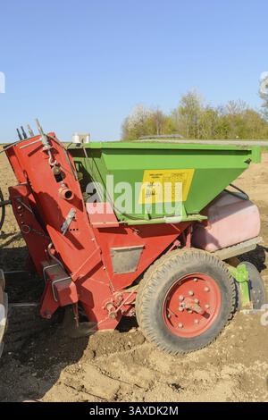 Kartoffelsämlinge werden mit einem KartoffelPflanzgefäß gesät Stockfoto