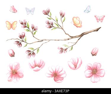 Rosa Mandelzweig und Blumen und Schmetterlinge Aquarellset. Isolierte handgezeichnete Illustrationen von Sakura, Kirschblüte. Frühlingsblühende Früchte Stockfoto