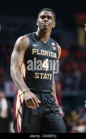 1. Februar 2017: Florida State Guard Dwayne Bacon (4) während des NCAA-Basketballspiels zwischen den Florida State University Seminoles und den University of Miami Hurricanes im Watsco Center in Coral Gables, Florida. Florida State besiegte Miami von 75 bis 57. Mario Houben/CSM(Kreditbild: &Copy; Mario Houben/CSM via ZUMA Wire) Stockfoto