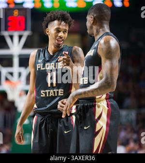 1. Februar 2017: Florida State Guard Braian Angola-Rodas (11) spricht mit Florida State Guard Dwayne Bacon (4) während des NCAA Basketballspiels zwischen den Florida State University Seminoles und den University of Miami Hurricanes im Watsco Center in Coral Gables, Florida. Florida State besiegte Miami von 75 bis 57. Mario Houben/CSM(Kreditbild: &Copy; Mario Houben/CSM via ZUMA Wire) Stockfoto