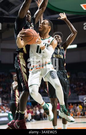 1. Februar 2017: Miami Guard Bruce Brown (11) fährt zum Korb des Florida State Center Michael Ojo (50) und Florida State Stürmer Jonathan Isaac (1) während des NCAA Basketballspiels zwischen den Florida State University Seminoles und den University of Miami Hurricanes im Watsco Center in Coral Gables, Florida. Florida State besiegte Miami von 75 bis 57. Mario Houben/CSM(Kreditbild: &Copy; Mario Houben/CSM via ZUMA Wire) Stockfoto
