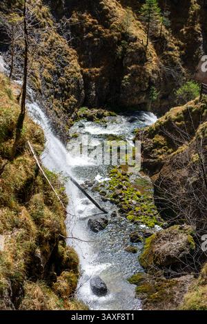 Blick auf den natürlichen tiefen Wald Wasserfall, natürliche Landschaft Hintergrund Stockfoto
