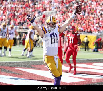 31. Dezember 2016: Orlando, FL, USA – LSU Tight End Colin Jeter feiert einen Touchdown gegen Louisville während des Buffalo Wild Wings Citrus Bowl im Camping World Stadium in Orlando, Florida, am Samstag, den 31. Dezember 2016. (Bild: © Stephen M. Dowell/TNS via ZUMA Wire) Stockfoto