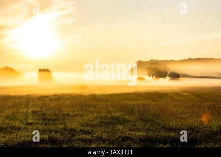 Wunderschöner Sonnenaufgang über einer Wiese mit Sonnenstrahlen, die durch den Morgennebel leuchten Stockfoto