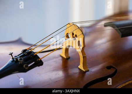 Detaillierte Atelier-Nahaufnahme eines klassischen Cello mit Körper und Streichern Stockfoto