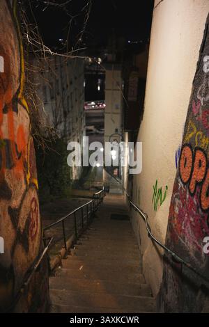 Lyon. Frankreich 04.20.2025 Nachtblick auf eine enge, mit Graffiti bedeckte Treppe, die durch eine urbane Gasse hinunter führt, beleuchtet von sanften Straßenlaternen und Stadtlichtern. Stockfoto