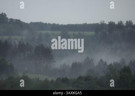 Ein ruhiger Blick auf Nebel, der sanft über bewaldete Hügel und entfernte Wiesen an einem regnerischen Tag aufsteigt. Stockfoto
