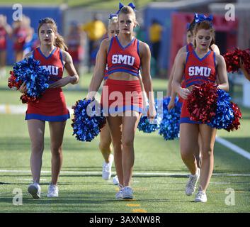 23. September 2016: Dallas, TX, USA – die Cheerleader der Southern Methodist treten am Freitag, 23. September 2016, im Gerald J. Ford Stadium in Dallas gegen Texas Christian ein. (Kreditbild: © Max Faulkner/TNS via ZUMA Wire) Stockfoto