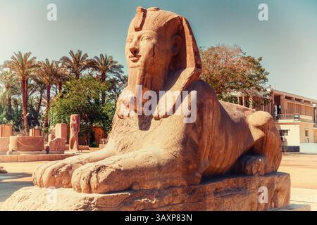 Die Alabaster-Sphinx von Memphis Stockfoto