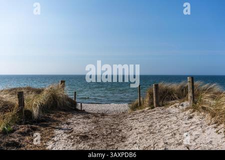 Blick durch die Dünen auf den Strand entlang der Westseite der Insel Hiddensee an der Ostsee, Mecklenburg-Vorpommern, Deutschland, Europa Stockfoto