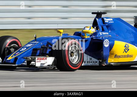 Oktober 2016 – Austin, Texas, USA S - Formel-1-Fahrer üben vor dem Rennen auf der Rennstrecke Circuit of the Americas in Austin, Texas. (Bild: © Dan Wozniak via ZUMA Wire) Stockfoto
