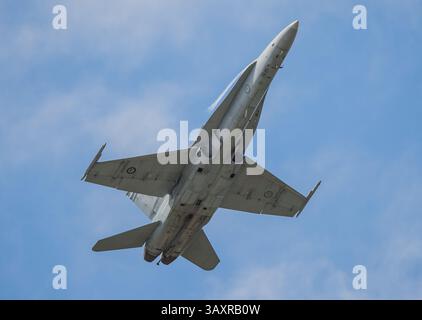 23. Oktober 2016 – Melbourne, Victoria, Australien – Eine Royal Australian Air Force FA-18 fliegt vor dem Rennen der MotoGP-Kategorie bei der australischen MotoGP 2016 auf Phillip Island, Australien, vorbei. (Kreditbild: © Theo Karanikos via ZUMA Wire) Stockfoto