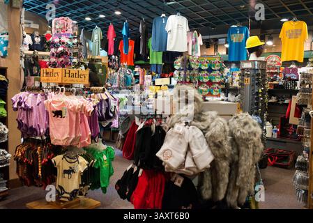 30. Juni 2016 – Juneau, Alaska, USA – Raven Eagle Geschenke & Gallery. Mount Roberts Tramway. Juneau, Alaska. USA. (Bild: © Sergi Reboredo/ZUMA Wire/ZUMAPRESS.com) Stockfoto