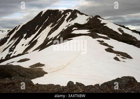 30. Juni 2016 – Juneau, Alaska, USA – Mount Roberts. Trekking von der Mt. Roberts Tramway, Juneau. Alaska. Das oberste Terminal der Straßenbahn befindet sich auf einem Turm und bietet einen spektakulären Blick auf die Stadt Juneau und den Gastineau Channel, Douglas Island und die Gemeinde Douglas im Westen, die Chilkat Mountain Range im Norden und Kupreanof Island im Süden. Der Terminalsteig wird durch die Skybridge mit dem Bergrücken des Mount Roberts verbunden, die zu den Gipfelanlagen führt. Das Hauptgebäude umfasst die Timberline Bar & Grill und das Chilkat Theater, das einen informativen Film über die Lokale zeigt Stockfoto