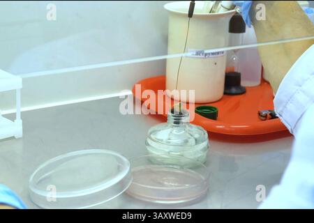 Milchanalysen im Labor. Qualitätskontrolle von Milchprodukten. Stockfoto