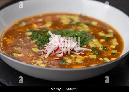 Gekühlte russische Sommersuppe mit Kwass, gewürfeltem Gemüse, gehackten Kräutern, gekochtem Fleisch, garniert mit Rettichscheiben Stockfoto