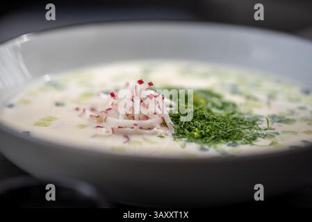 Gekühlte Suppe auf russischer Kefirbasis mit fein gehacktem Gemüse, garniert mit frischem Dill und Rettich, ruht in makellosem Keramikgefäß Stockfoto